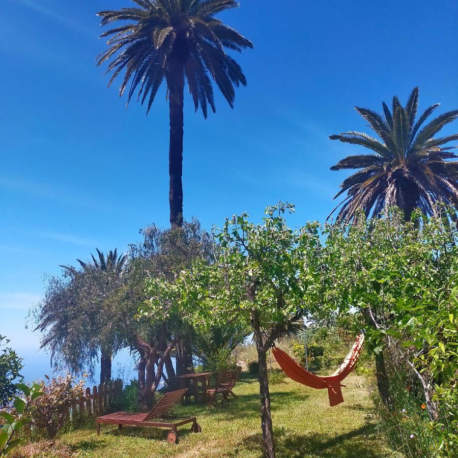 Vistas Del Sur Villa Alajero ภายนอก รูปภาพ